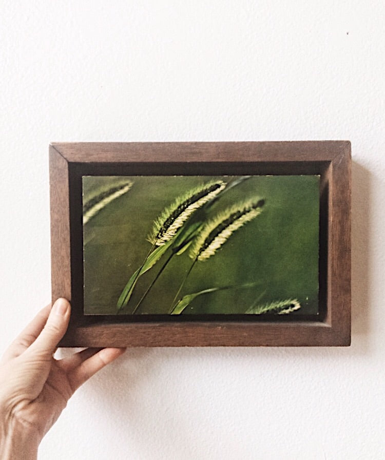 Vintage Mounted Photo