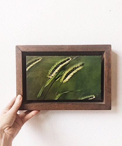 Vintage Mounted Photo