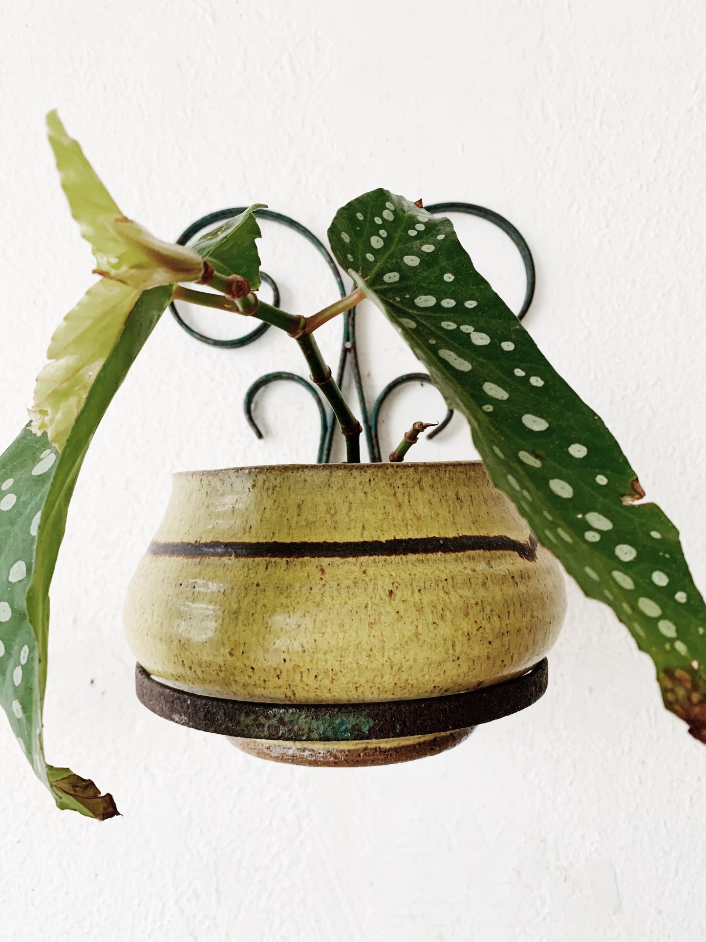Mid Century Iron Pot Holder
