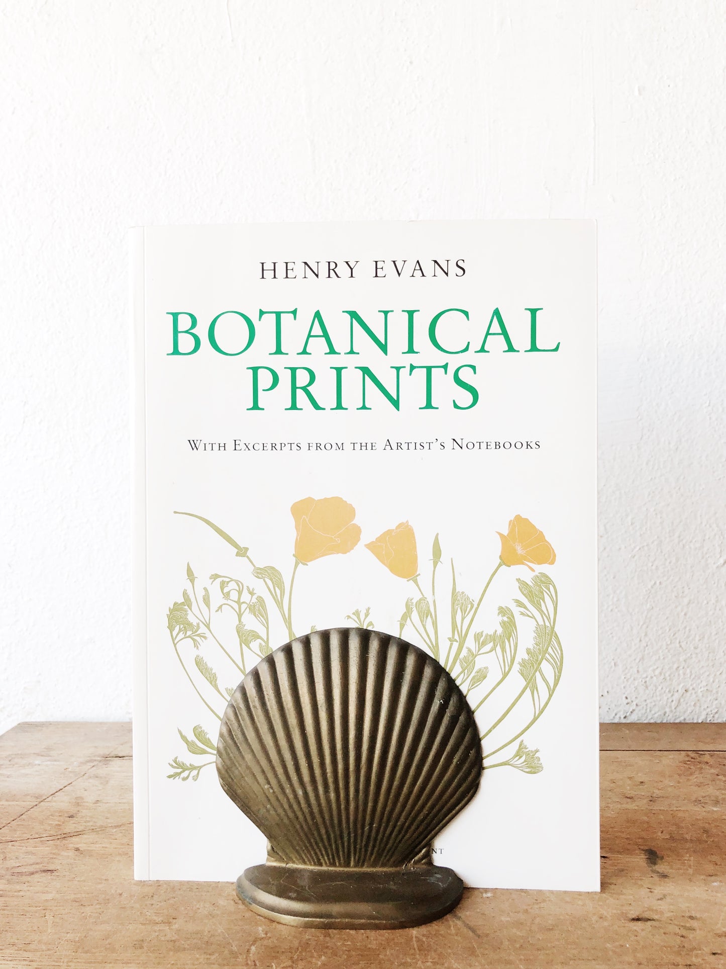 Solid Brass Shell Bookends