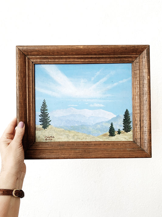 1970’s Framed Landscape