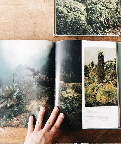 Vintage Natural History Book Collection