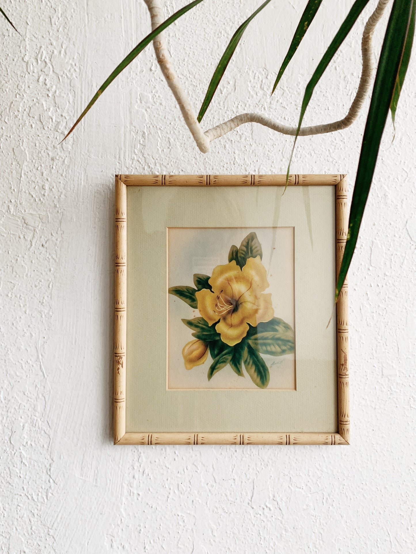 Vintage Framed Hawaiian Hibiscus