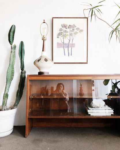 Vintage Mid Century Teak Console