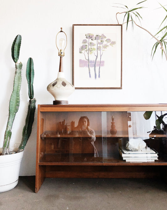 Vintage Mid Century Teak Console