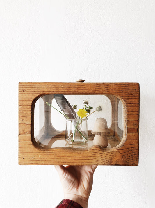 Vintage Wooden Terrarium with Mushroom