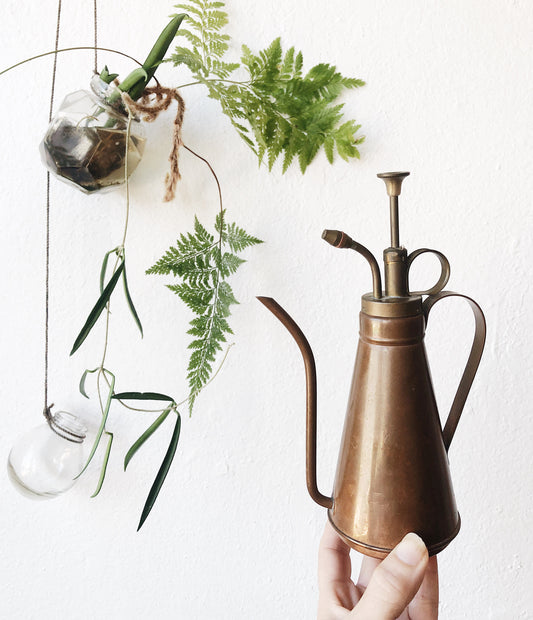 Vintage Copper Watering Can and Mister Combo