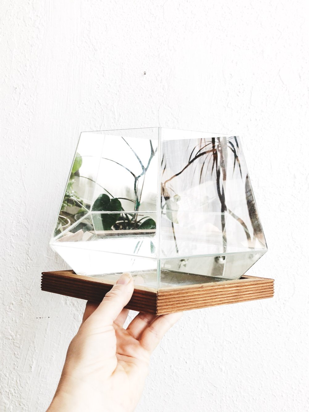 Mirrored Glass Terrarium