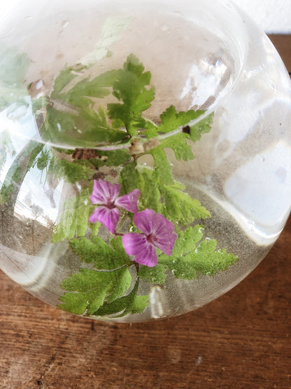 Vintage Plant Aquarium