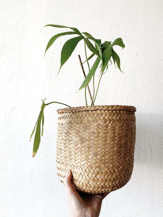 Woven Seagrass Basket