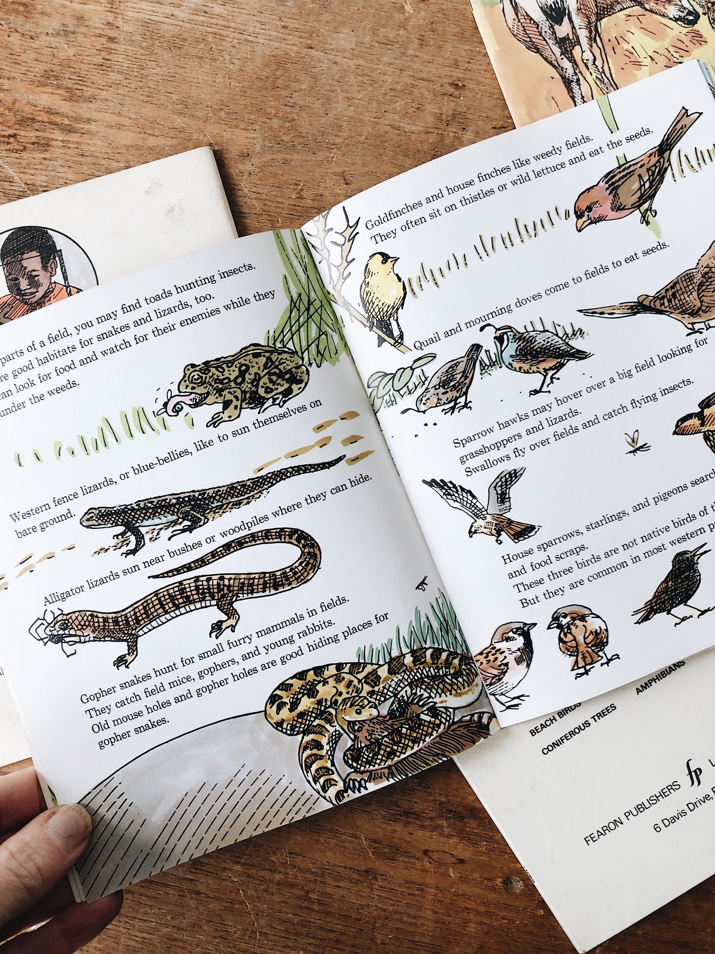 Vintage 1970s Natural History Book Set