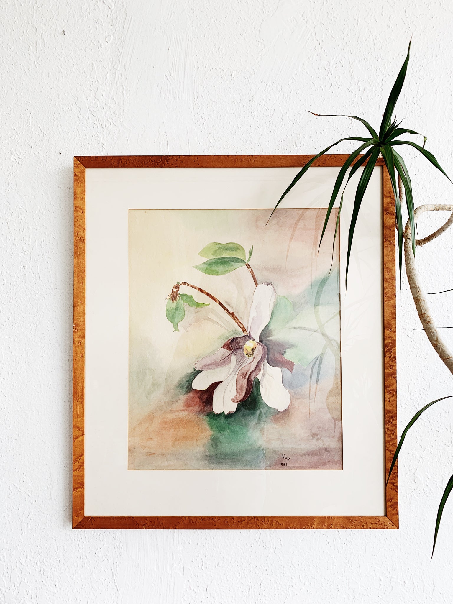 Large Vintage Framed Magnolia Watercolor