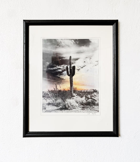 Original Photographic Print