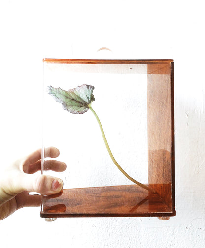 Vintage Mod Lucite Canister