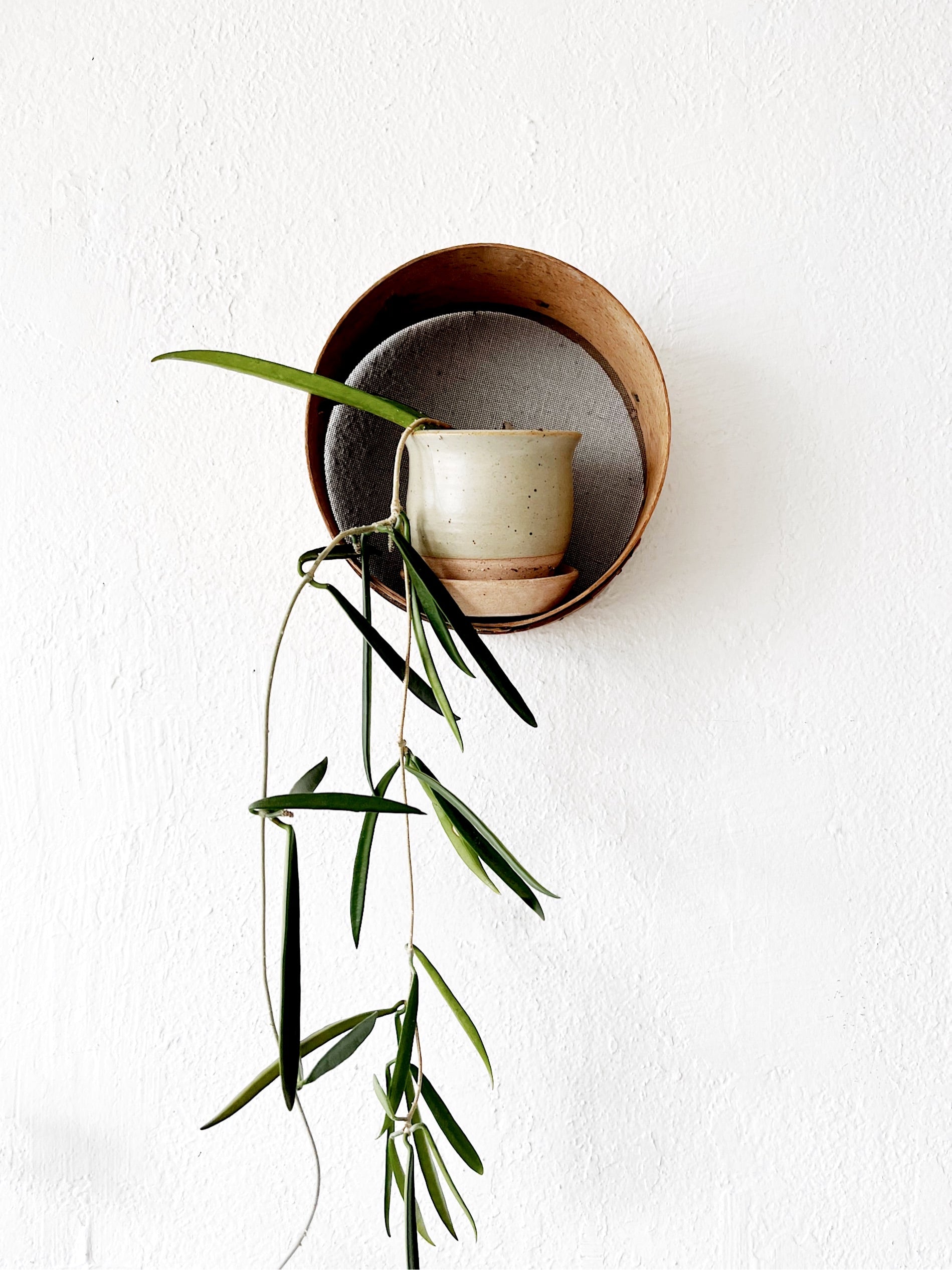 Antique Sieve - Thumbnail 4