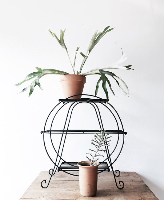 Mid Century Circular Plant Stand
