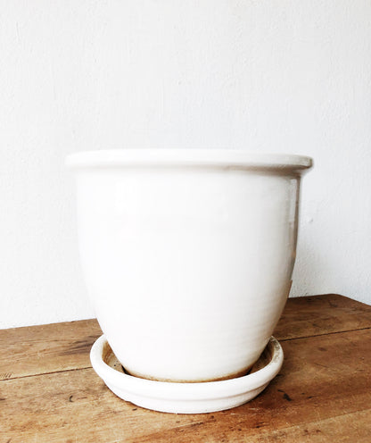 Mid Century US Pottery of Paramount Planter