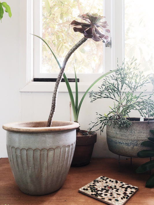 Vintage Stoneware Planter