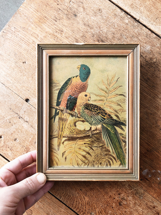 Antique Colored Lithograph
