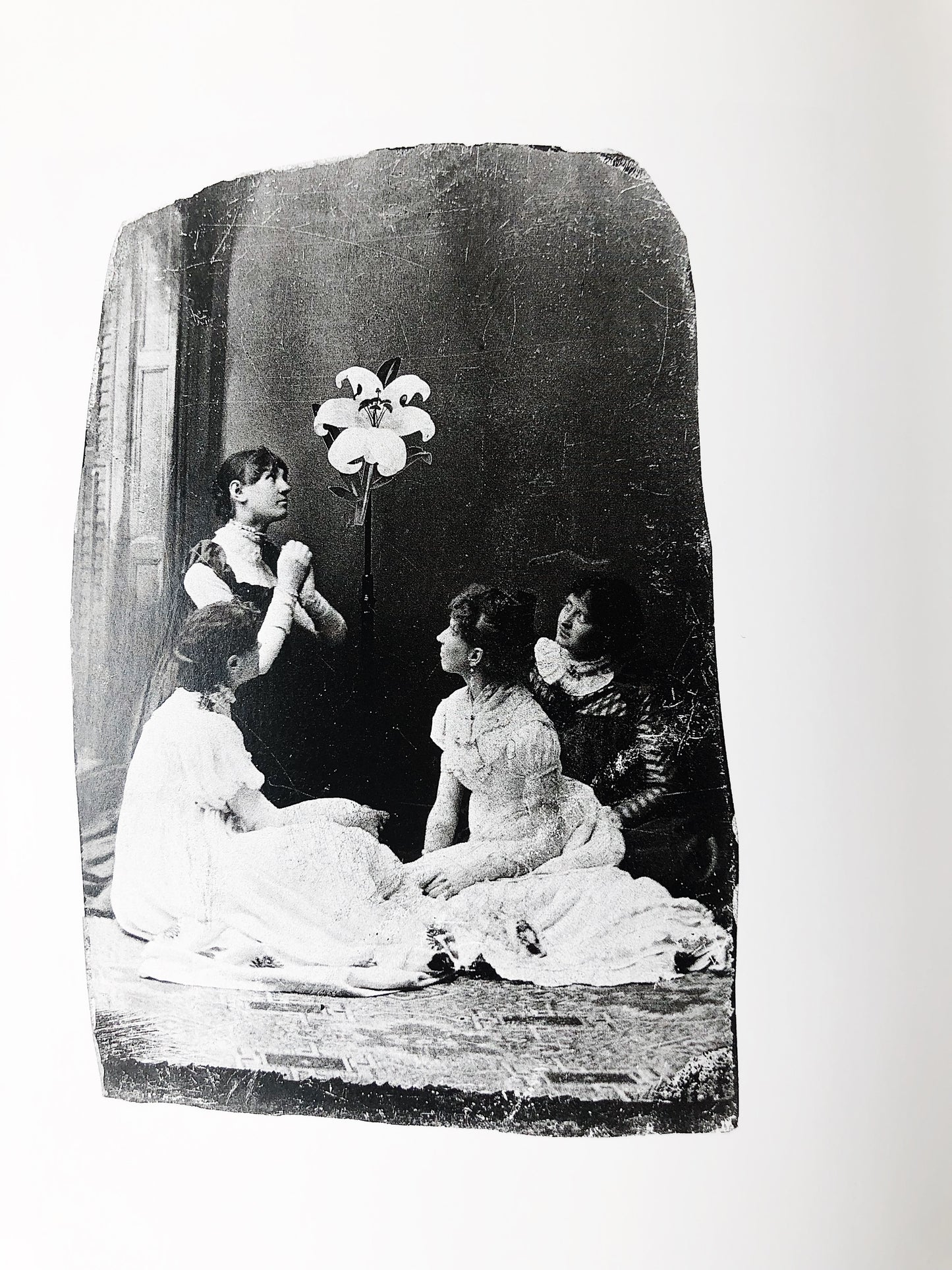 Flora Photographica Vintage Art Book