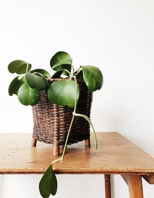 Vintage Footed Planter Basket