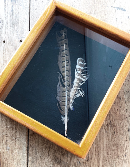 Vintage Display Shadow Box