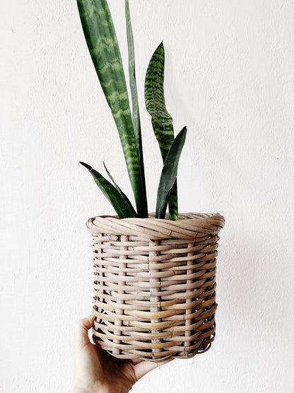 Vintage Plant Basket