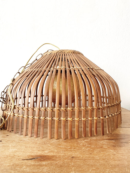 Vintage  Pendant Light