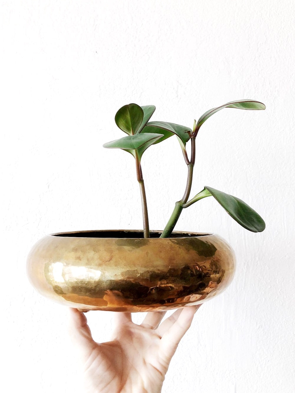 Vintage Brass Saucer Planter