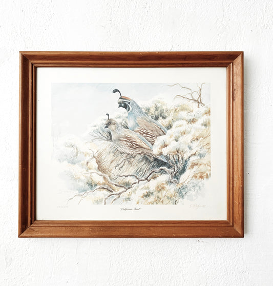 Vintage Framed California Quail Print
