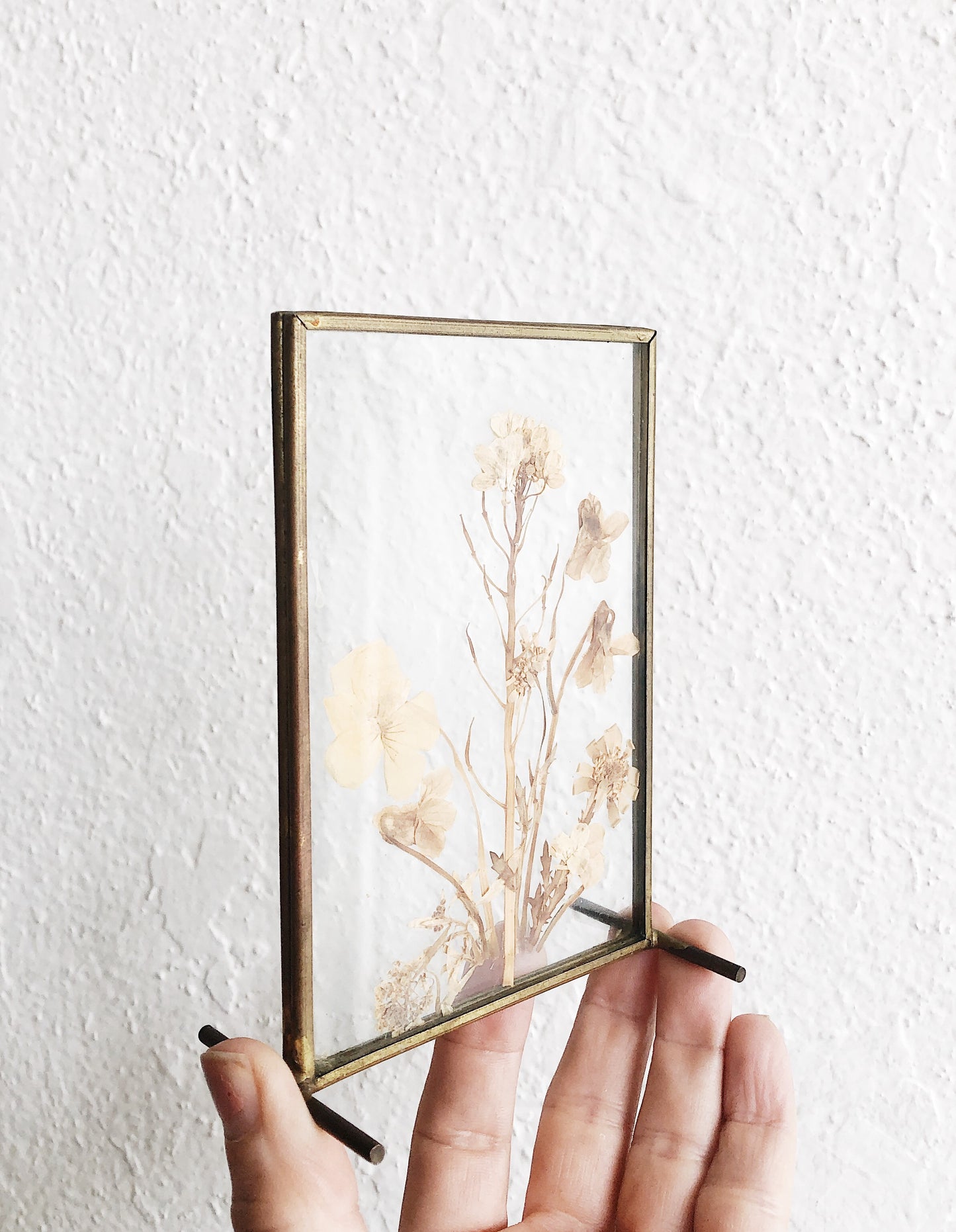 Vintage Pressed Flowers in Brass