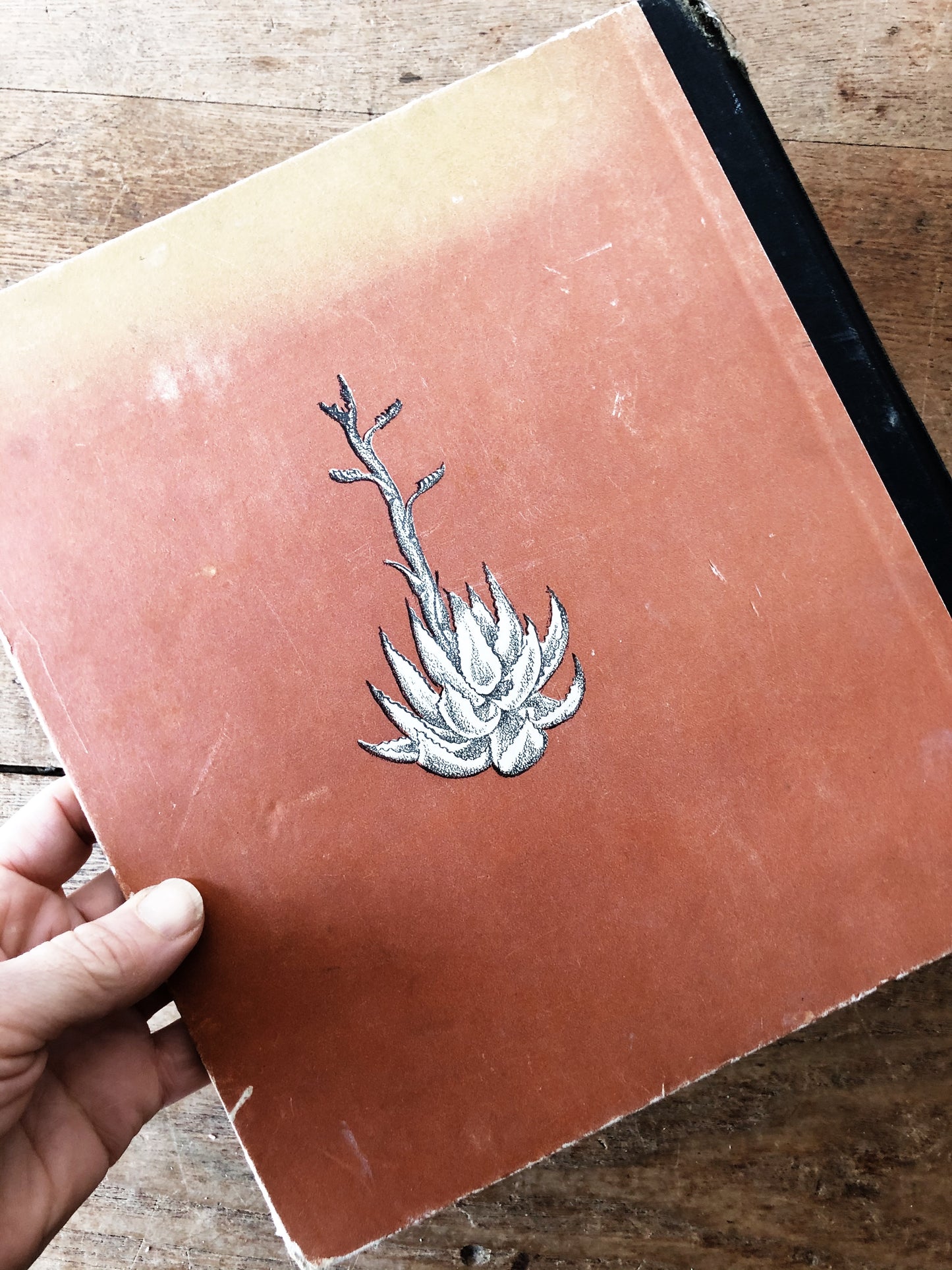 Vintage 1940s Children’s Book