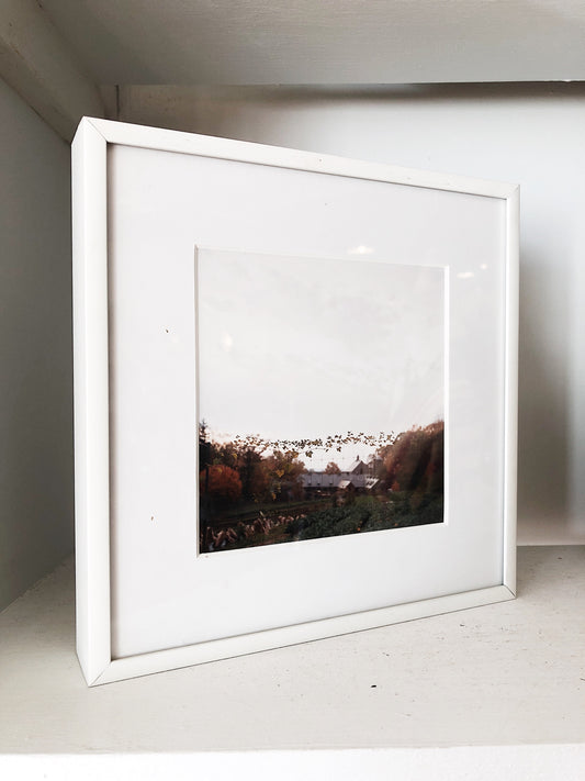 Original Framed Film Photograph