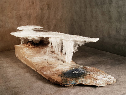 Earthscapture The Art of Setsuo Ito