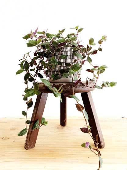 Vintage Wood Stool