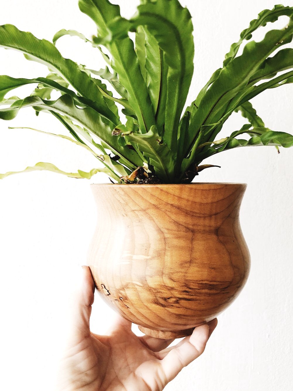 Handmade Maple Wood Planter