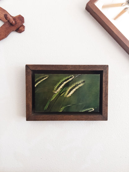 Vintage Mounted Photo