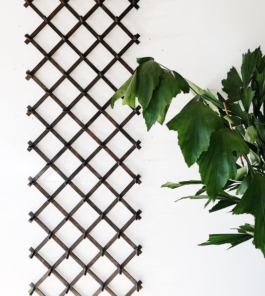 Vintage Giant Expanding Accordion Rack