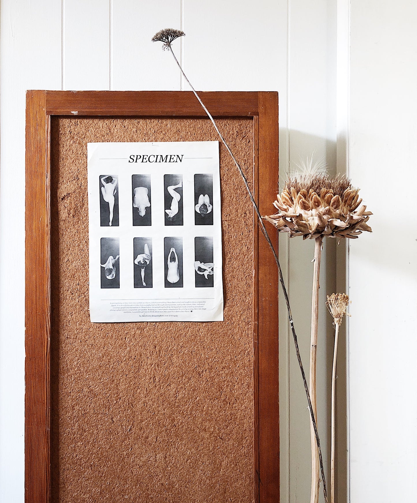 Vintage Half Height Room Divider Display