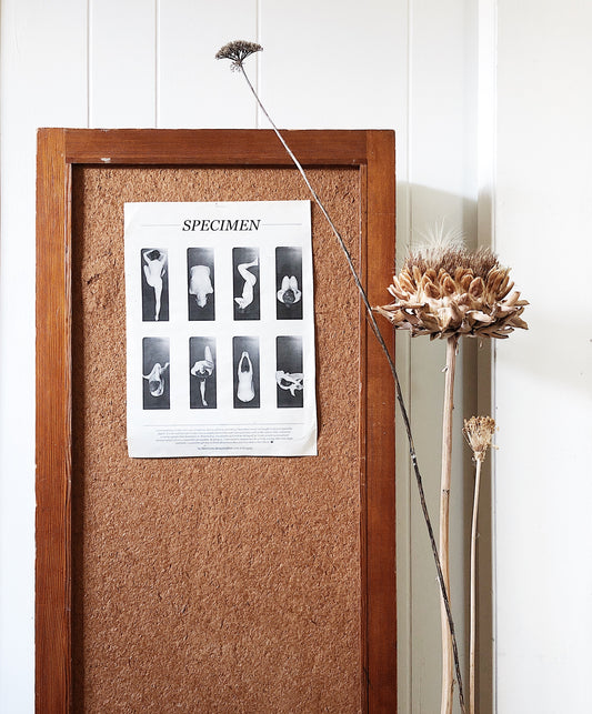 Vintage Half Height Room Divider Display