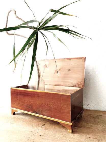 Vintage Handmade Petite Wood Chest