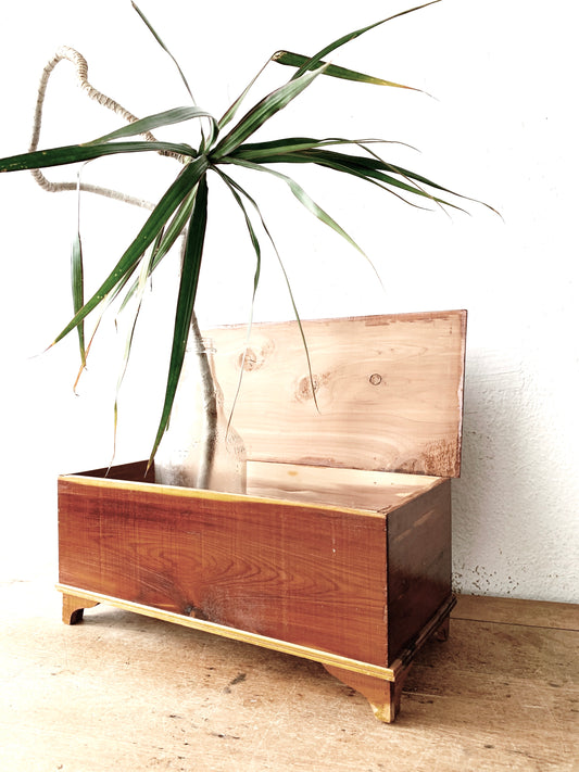 Vintage Handmade Petite Wood Chest