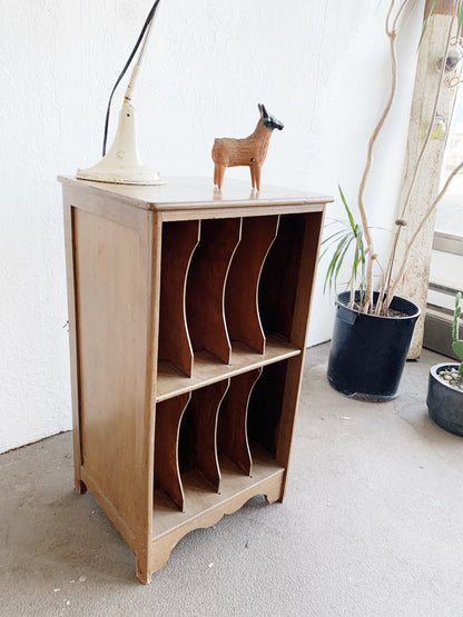 Vintage Wood Album Shelf/ Organizer