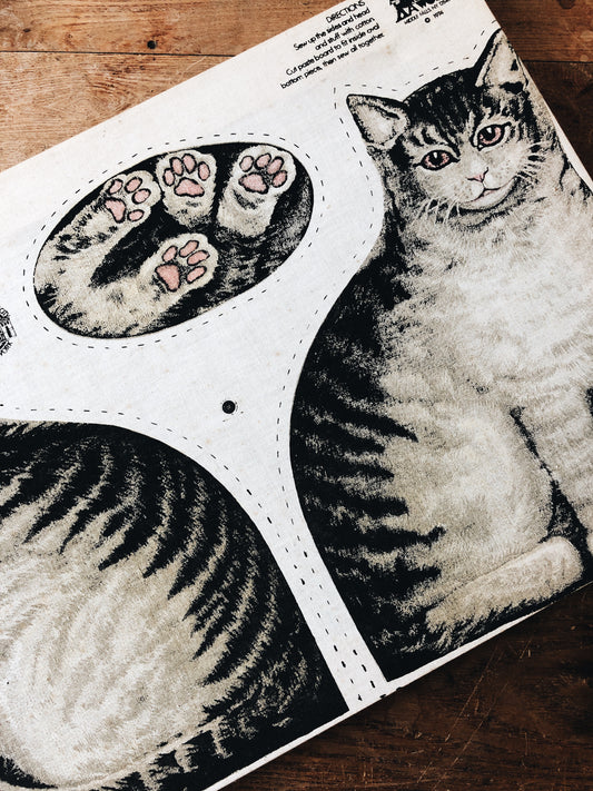 Vintage Cat Canvas Artwork