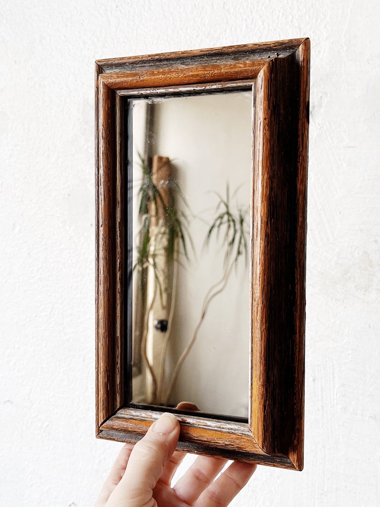 Vintage Polarized Mirror