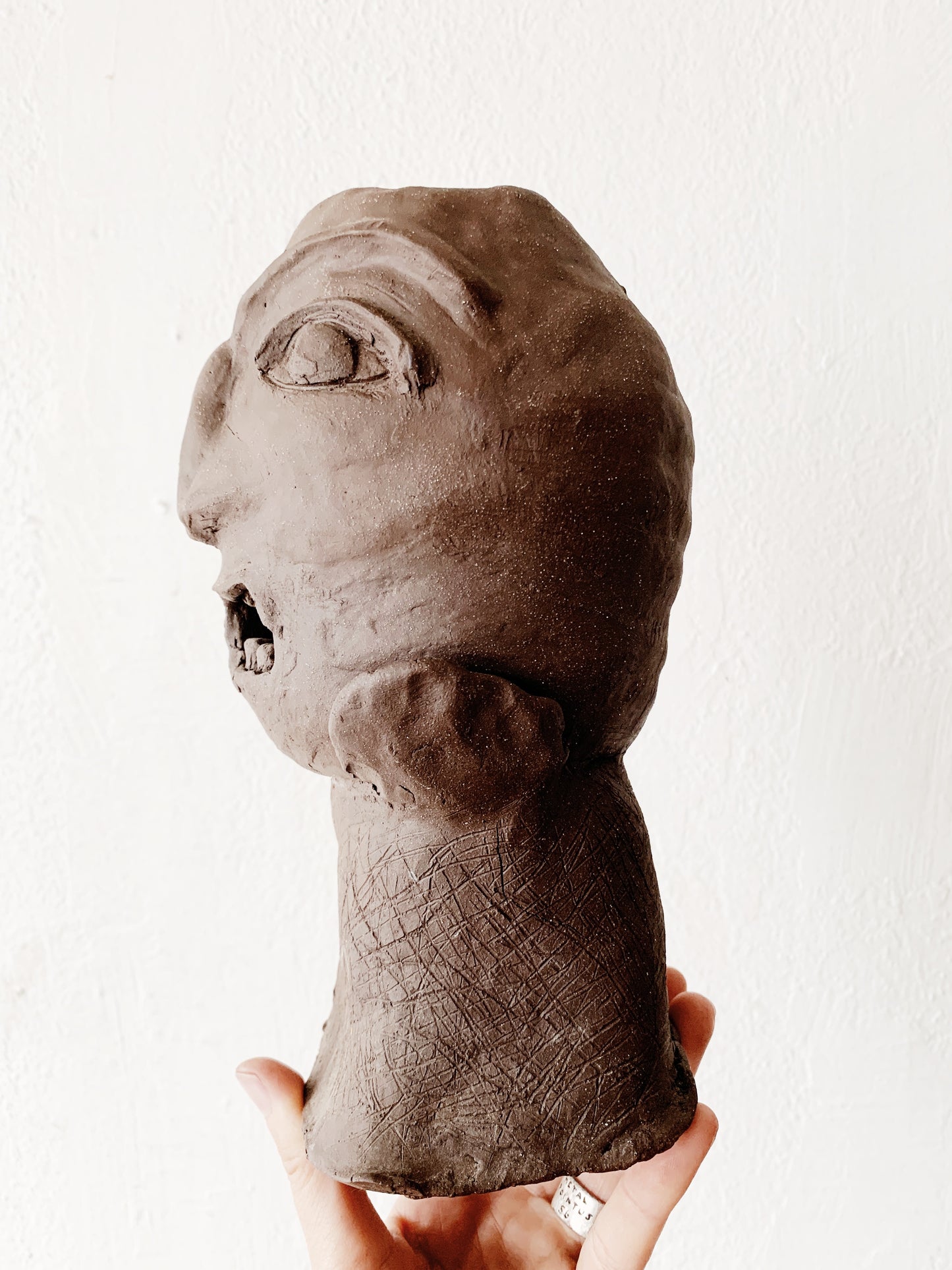 Handmade Clay Sculpture Planter