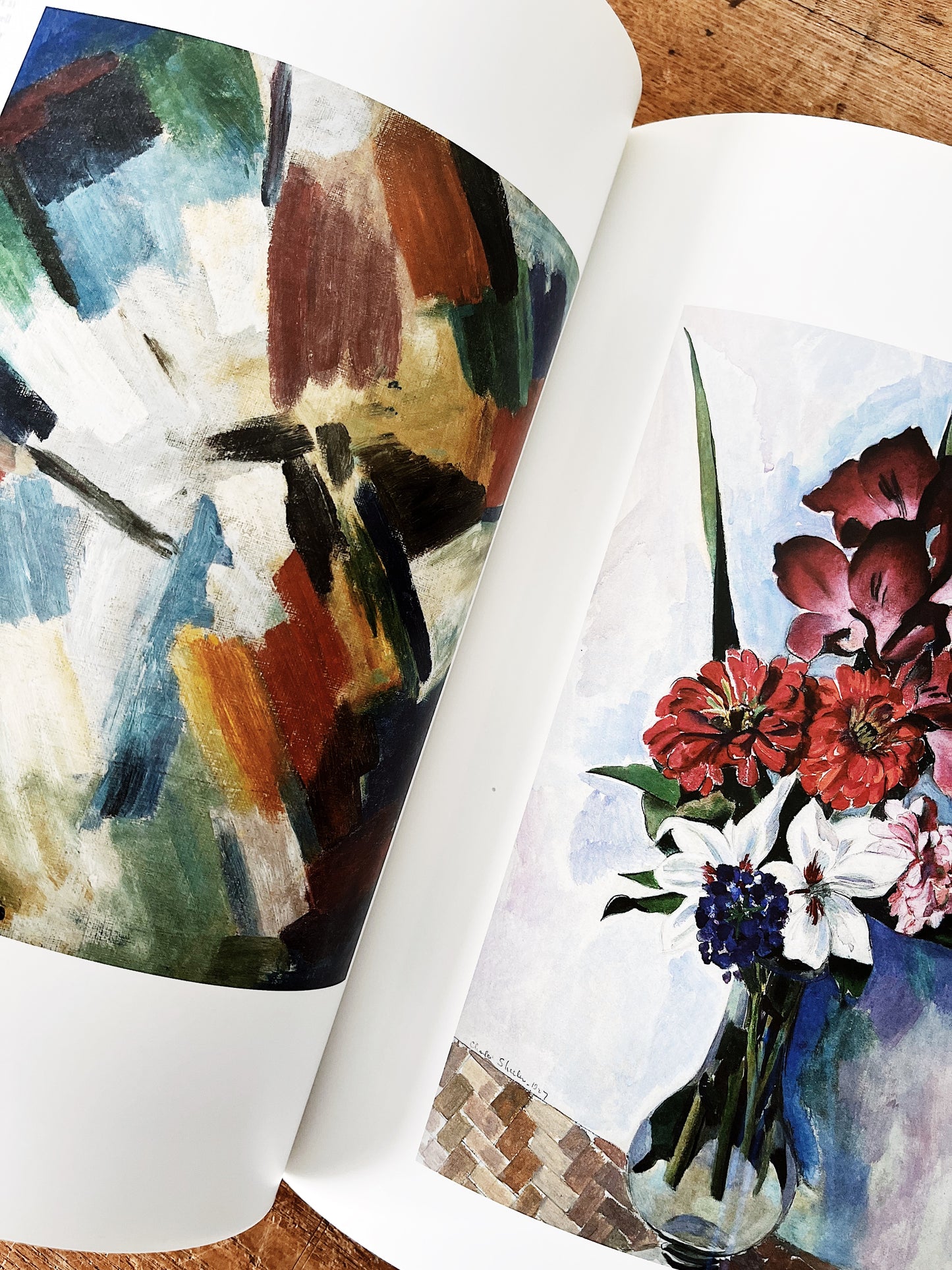 American Modernist Art Book
