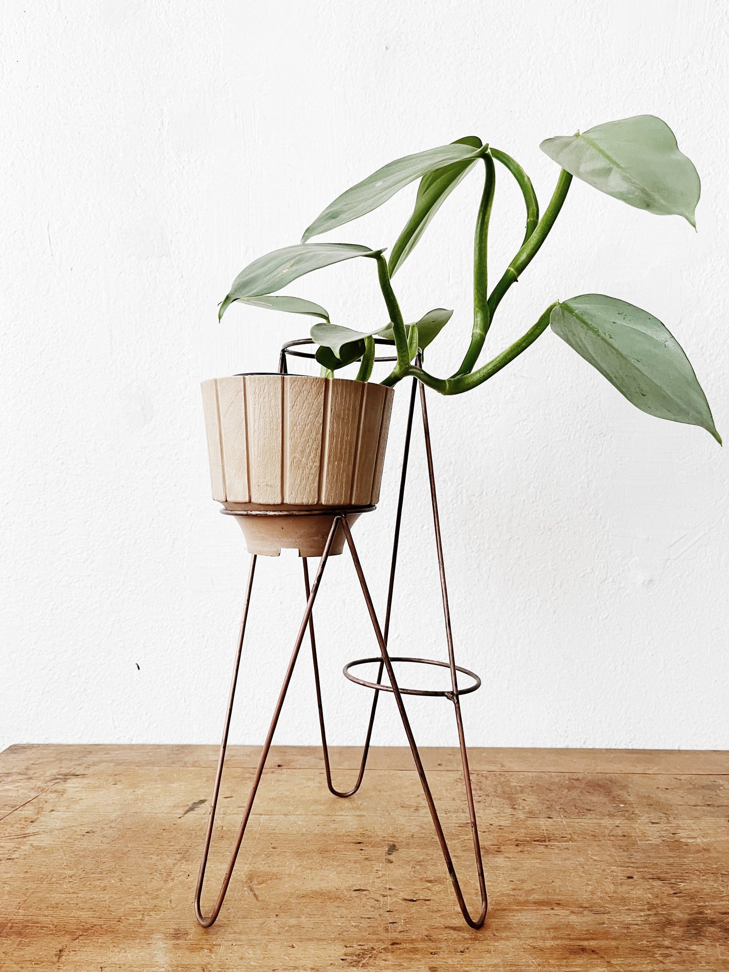 Mid Century Planters and Stands