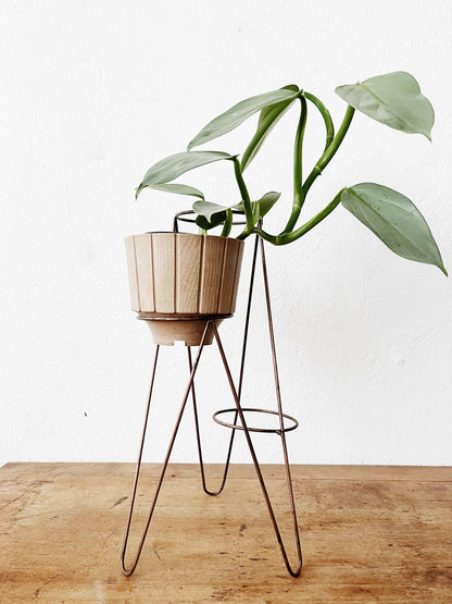 Mid Century Planters and Stands