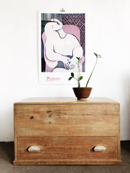 Vintage Picasso Poster